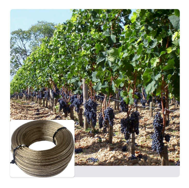 Wire Rope
