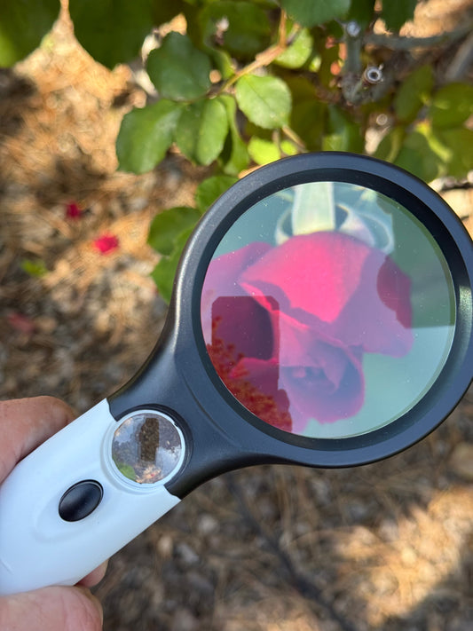 Tiitstoy 45X Handheld Magnifier with 3 LED Lights – High Power Glass Lens for Reading, Jewelry, Coins & Inspection